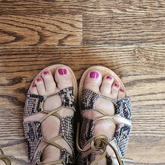 FreeBird CESAR Snake Multi Gladiator Sandals NIB size 6 - Picture 4 of 4